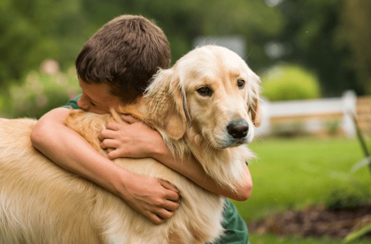 How Do You Say Goodbye To A Dog Before Euthanasia